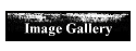 Image Gallery